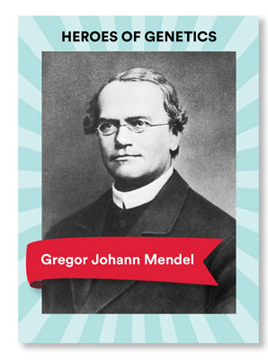Gregor Mendel Blog Veritas Intercontinental
