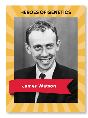 James Watson Blog Veritas Intercontinental