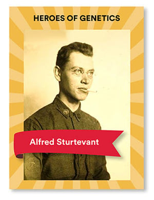Alfred-Sturtevant-blog-Veritas-Intercontinental